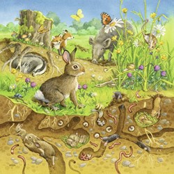 Ravensburger (08050) - "Animaux dans leurs Habitats" - 49 pièces