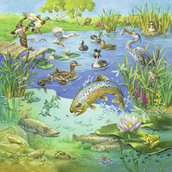 Ravensburger (08050) - "Animaux dans leurs Habitats" - 49 pièces