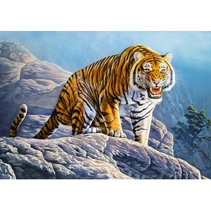 Castorland (B-53346) - "Tiger on the Rocks" - 500 pièces