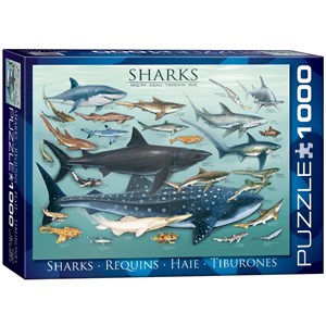Eurographics (6000-0079) - "Requins" - 1000 pièces