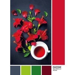 Clementoni (39494) - "Red Hibiscus Aroma" - 1000 pièces