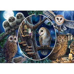 Schmidt Spiele (59667) - Lisa Parker: "Mysterious Owls" - 1000 pièces