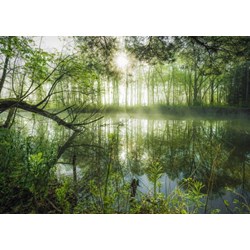 Schmidt Spiele (59670) - Stefan Hefele: "Homeland Jungle" - 1000 pièces