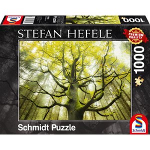 Schmidt Spiele (59669) - Stefan Hefele: "Dream Tree" - 1000 pièces