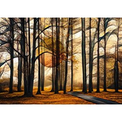 Schmidt Spiele (58396) - "Magical Forest" - 1000 pièces