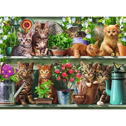 Ravensburger (14824) - "Des chats sur l'Etagère" - 500 pièces