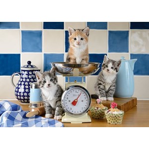 Schmidt Spiele (58370) - "Cats in the Kitchen" - 500 pièces