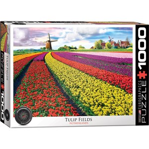 Eurographics (6000-5326) - "Champ de Tulipes aux Pays-Bas" - 1000 pièces