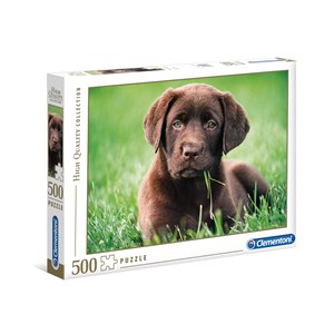 Clementoni (35072) - "Labrador Chocolat" - 500 pièces