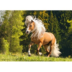 Ravensburger (15009) - "Cheval Chanceux" - 1000 pièces