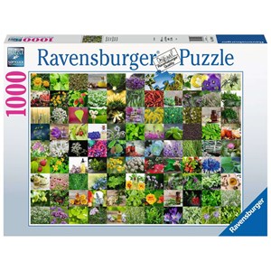 Ravensburger (15991) - "99 Herbes et Epices" - 1000 pièces