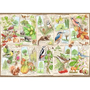 Ravensburger (16421) - "Wondrous Trees" - 1000 pièces
