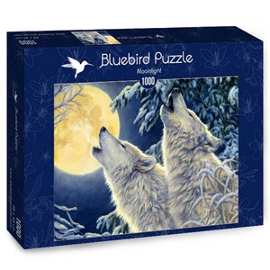 Bluebird Puzzle (70071) - "Moonlight" - 1000 pièces