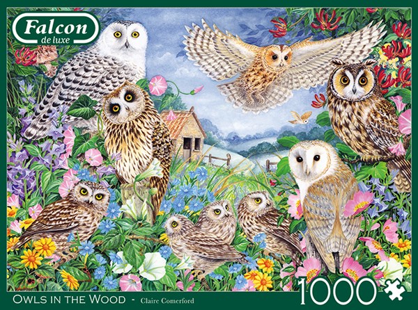 Falcon (11286) - Claire Comerford: "Chouettes dans Le Bois" - 1000 pièces