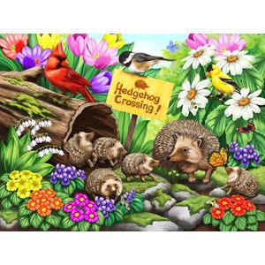 SunsOut (63090) - "Hedgehog Crossing" - 1000 pièces