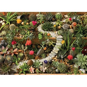 Cobble Hill (80157) - "Succulent Garden" - 1000 pièces