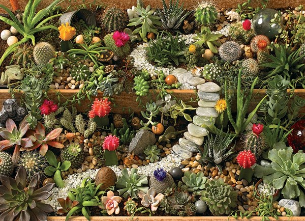 Cobble Hill (80157) - "Succulent Garden" - 1000 pièces