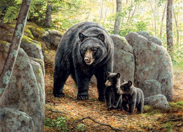 Cobble Hill (80154) - "Mama Bear" - 1000 pièces