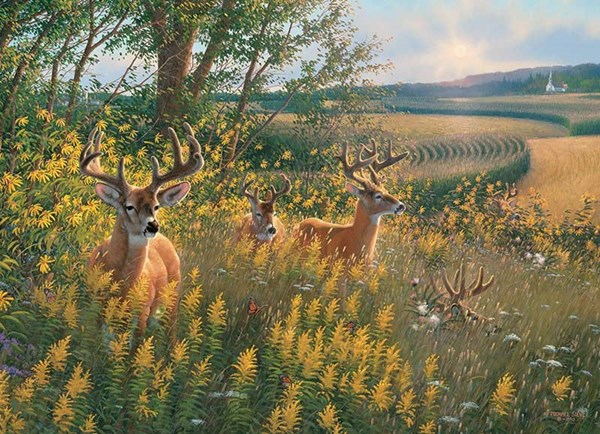 Cobble Hill (80092) - "Summer Deer" - 1000 pièces
