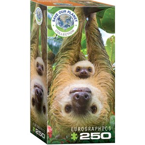 Eurographics (8251-5556) - "Sloths" - 250 pièces