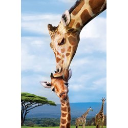 Eurographics (8251-0294) - "Giraffes" - 250 pièces