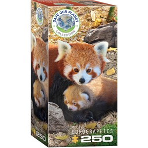 Eurographics (8251-5557) - "Red Pandas" - 250 pièces