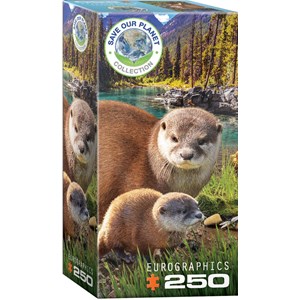 Eurographics (8251-5558) - "Otters" - 250 pièces