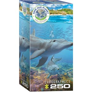 Eurographics (8251-5560) - "Dolphins" - 250 pièces