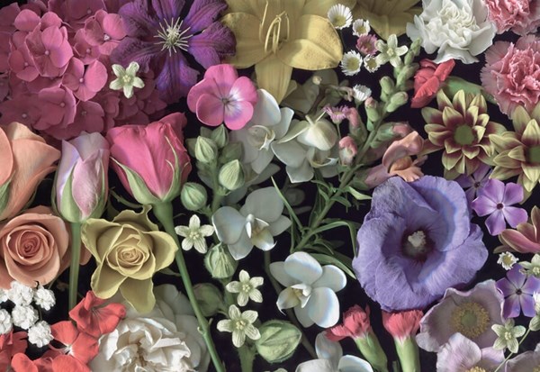 Cloudberries (33006) - "Flowers" - 1000 pièces