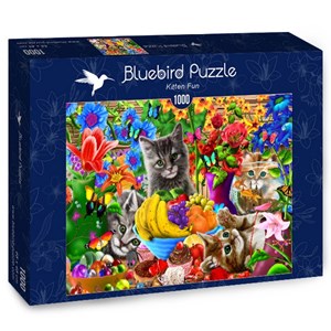 Bluebird Puzzle (70183) - "Kitten Fun" - 1000 pièces