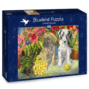 Bluebird Puzzle (70068) - "Double Trouble" - 1000 pièces