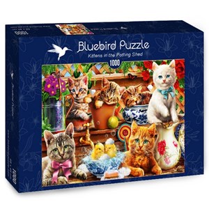 Bluebird Puzzle (70241) - Adrian Chesterman: "Kittens in the Potting Shed" - 1000 pièces