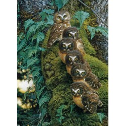 Cobble Hill (80018) - "Family Tree" - 1000 pièces