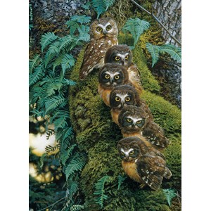 Cobble Hill (80018) - "Family Tree" - 1000 pièces