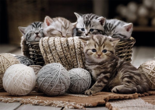 Nathan (877904) - "Boules de Poils et Pelotes de Laine" - 1500 pièces