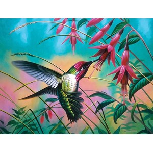 SunsOut (70941) - Cynthie Fisher: "Hummingbird Haven" - 500 pièces