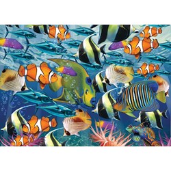 Art Puzzle (4270) - "Multi Fish" - 260 pièces