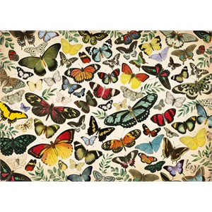 Falcon (18842) - "Butterfly Poster" - 1000 pièces