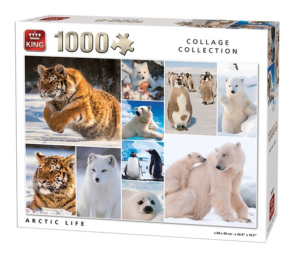 King International (55870) - "Arctic Life" - 1000 pièces
