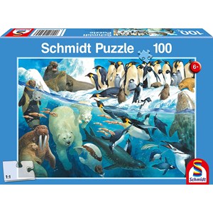 Schmidt Spiele (56295) - "Polar Animals Circle" - 100 pièces