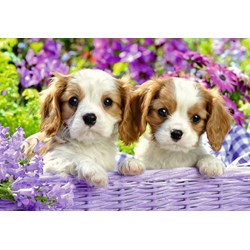 Ravensburger (05029) - "Amis tout doux" - 24 pièces