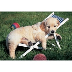 Ravensburger (14956) - "Easy Cuddly" - 204 pièces