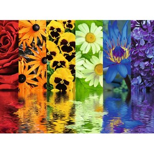 Ravensburger (16446) - "Reflets Floraux" - 500 pièces