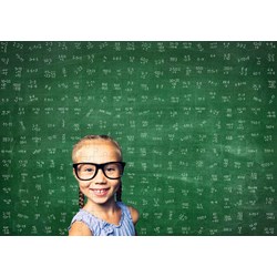 Puls Entertainment (55555) - "The Maths Puzzle, The first puzzle to calculate" - 300 pièces