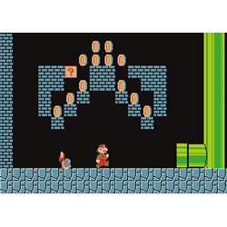 Winning Moves Games (WIN11491) - "Super Mario Bros., Underground Adventures" - 500 pièces