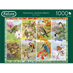 Falcon (11157) - "Seasonal Garden Birds" - 1000 pièces