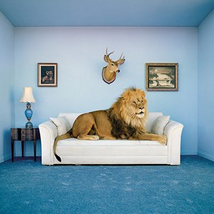 Clementoni (38500) - "The Master of the house" - 250 pièces