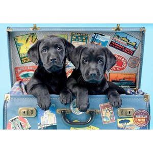 Anatolian (3601) - "The trunk with puppies" - 500 pièces