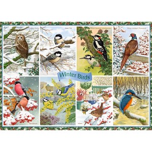 Falcon (11234) - Anne Searle: "Winter Birds" - 1000 pièces