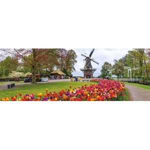 Puzzle 3D - Moulin à vent - Puzzle 3D - Moulin à vent des Pays-Bas - 61  pièces 